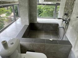 Angullia Park Residences @ Orchard (D10), Apartment #455104901